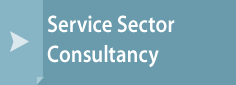 Service Sector Consultancy